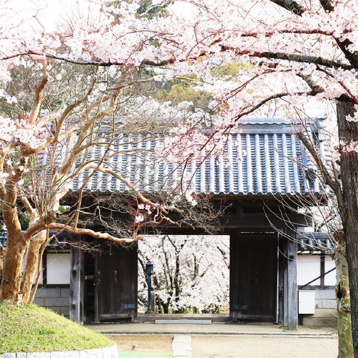 天台宗 施無畏山延命院 觀音寺｜茨城県筑西市 延命観音 中館観音